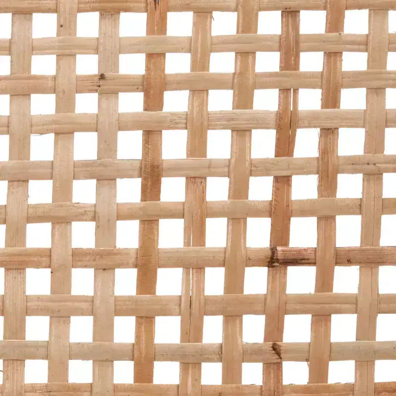 Sijo Rattan Peel Accent Chair - ACH1007A - Naturale - Safavieh