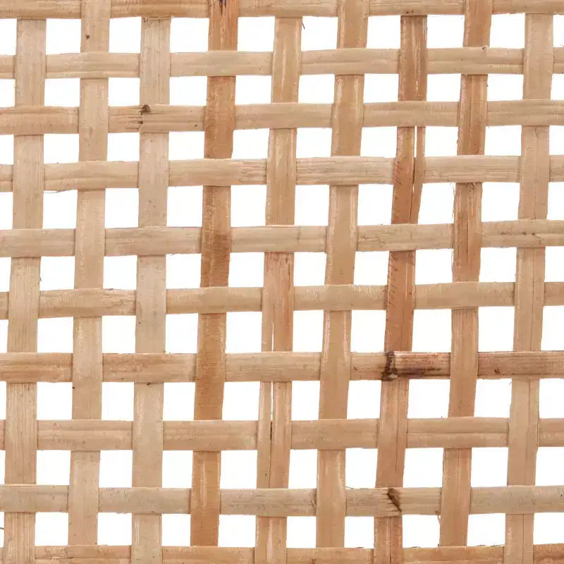 Sijo Rattan Peel Accent Chair - ACH1007A - Naturale - Safavieh