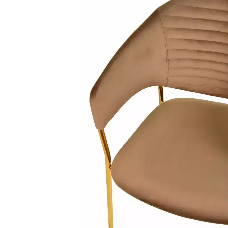Sedia da pranzo imbottita LeisureMod in pelle/velluto con gambe in acciaio inossidabile, set da 2 per sala da pranzo, cucina e spazi moderni, serie Bella
