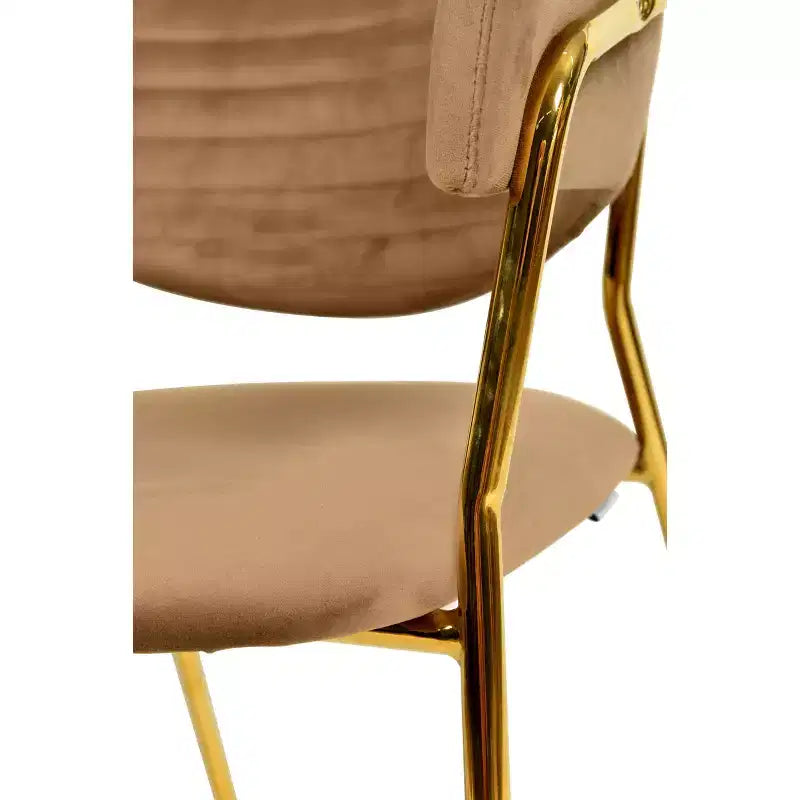 Sedia da pranzo imbottita LeisureMod in pelle/velluto con gambe in acciaio inossidabile, set da 2 per sala da pranzo, cucina e spazi moderni, serie Bella