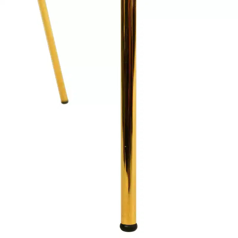 Sedia da pranzo imbottita LeisureMod in pelle/velluto con gambe in acciaio inossidabile, set da 2 per sala da pranzo, cucina e spazi moderni, serie Bella