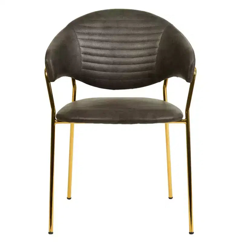 Sedia da pranzo imbottita LeisureMod in pelle/velluto con gambe in acciaio inossidabile, set da 2 per sala da pranzo, cucina e spazi moderni, serie Bella