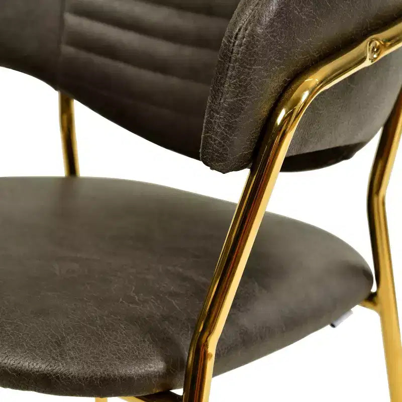 Sedia da pranzo imbottita LeisureMod in pelle/velluto con gambe in acciaio inossidabile, set da 2 per sala da pranzo, cucina e spazi moderni, serie Bella