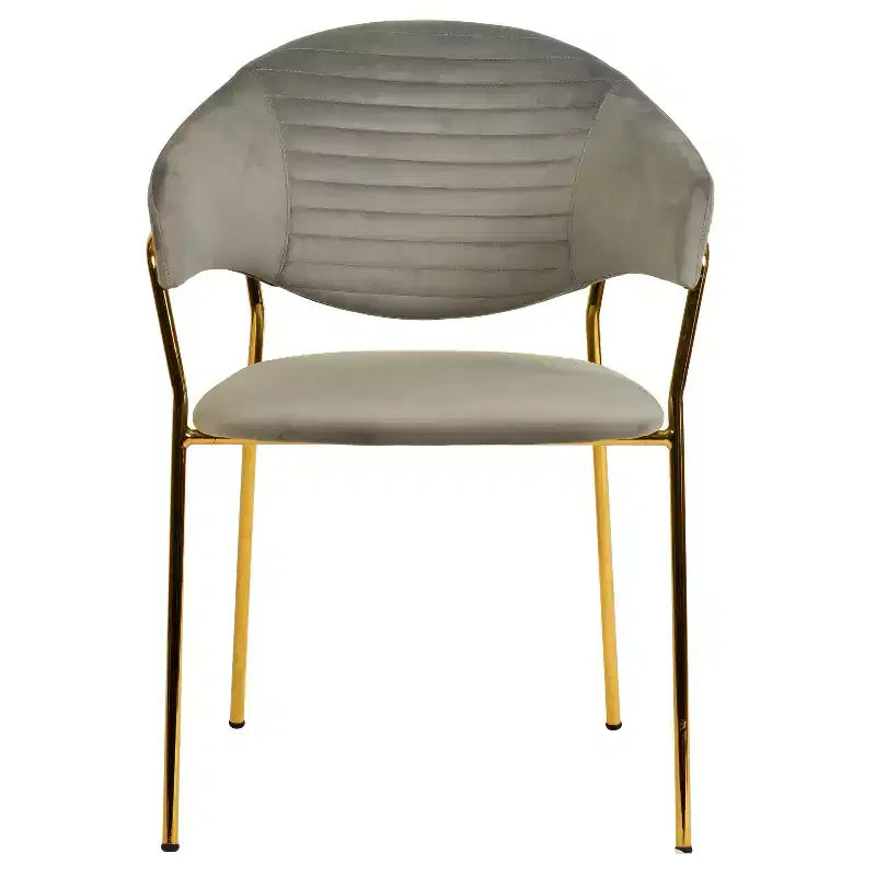Sedia da pranzo imbottita LeisureMod in pelle/velluto con gambe in acciaio inossidabile, set da 2 per sala da pranzo, cucina e spazi moderni, serie Bella