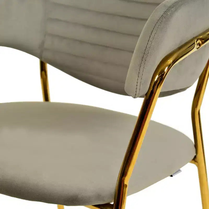 Sedia da pranzo imbottita LeisureMod in pelle/velluto con gambe in acciaio inossidabile, set da 2 per sala da pranzo, cucina e spazi moderni, serie Bella