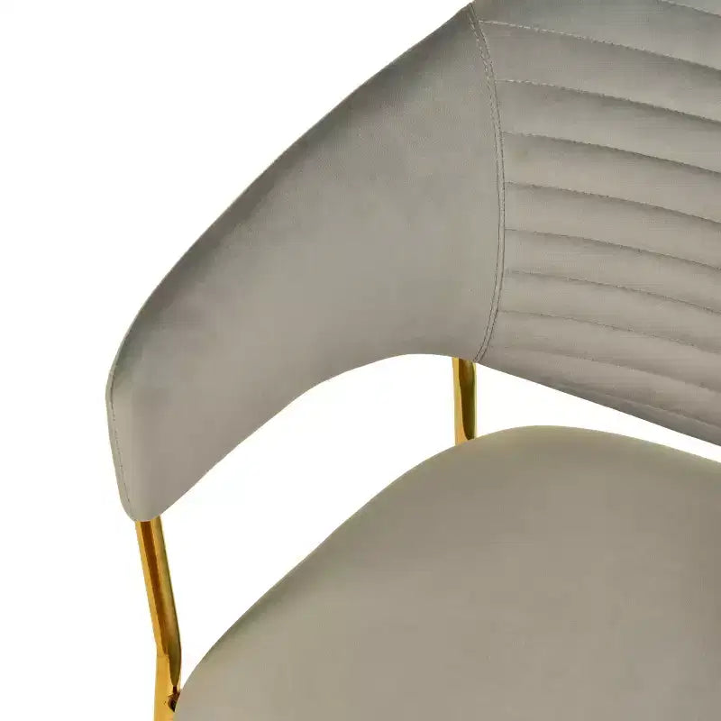 Sedia da pranzo imbottita LeisureMod in pelle/velluto con gambe in acciaio inossidabile, set da 2 per sala da pranzo, cucina e spazi moderni, serie Bella