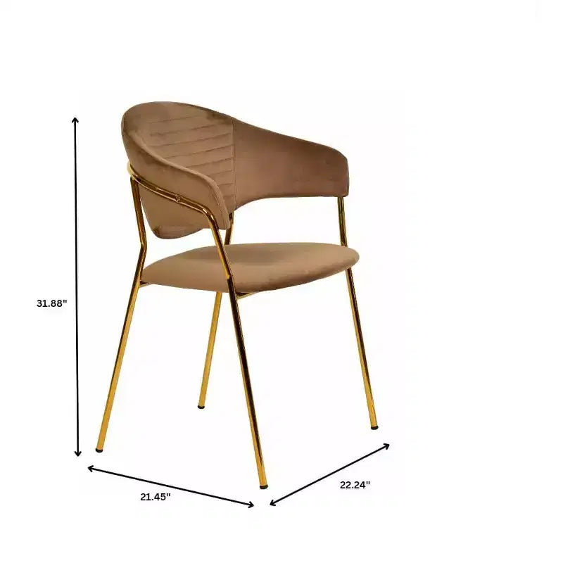 Sedia da pranzo imbottita LeisureMod in pelle/velluto con gambe in acciaio inossidabile, set da 2 per sala da pranzo, cucina e spazi moderni, serie Bella