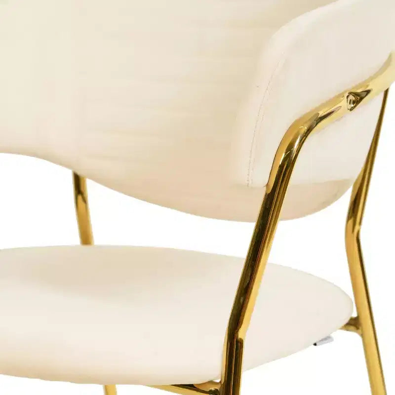 Sedia da pranzo imbottita LeisureMod in pelle/velluto con gambe in acciaio inossidabile, set da 2 per sala da pranzo, cucina e spazi moderni, serie Bella