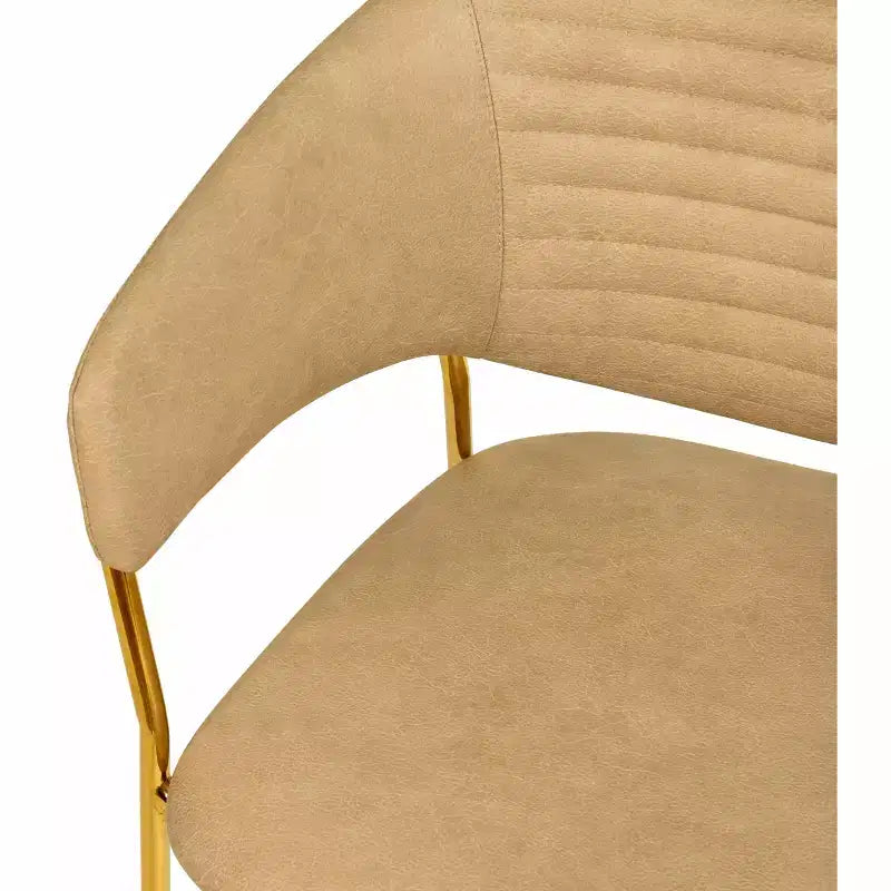Sedia da pranzo imbottita LeisureMod in pelle/velluto con gambe in acciaio inossidabile, set da 2 per sala da pranzo, cucina e spazi moderni, serie Bella