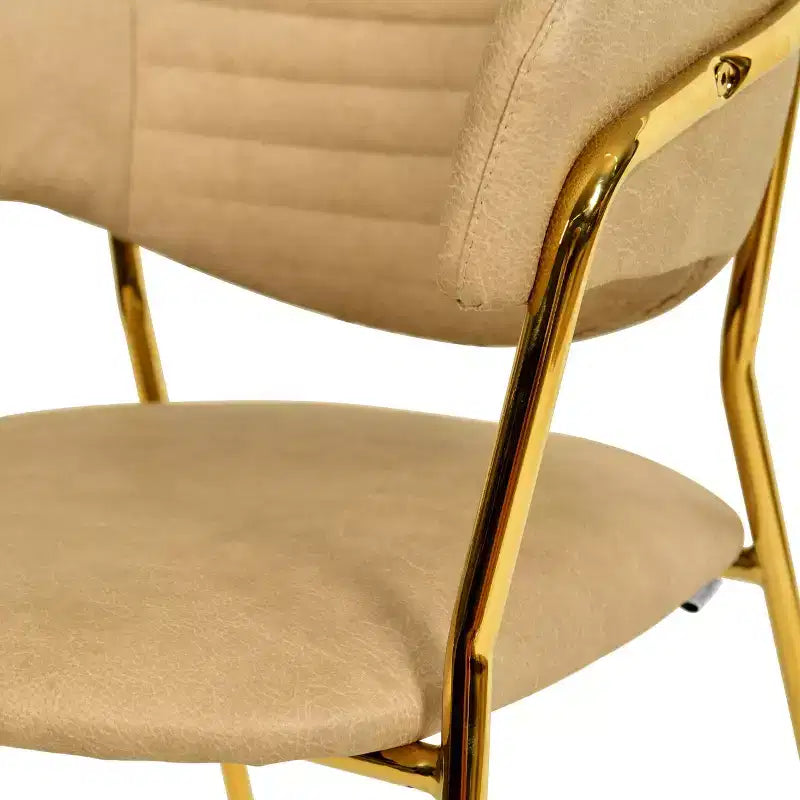 Sedia da pranzo imbottita LeisureMod in pelle/velluto con gambe in acciaio inossidabile, set da 2 per sala da pranzo, cucina e spazi moderni, serie Bella