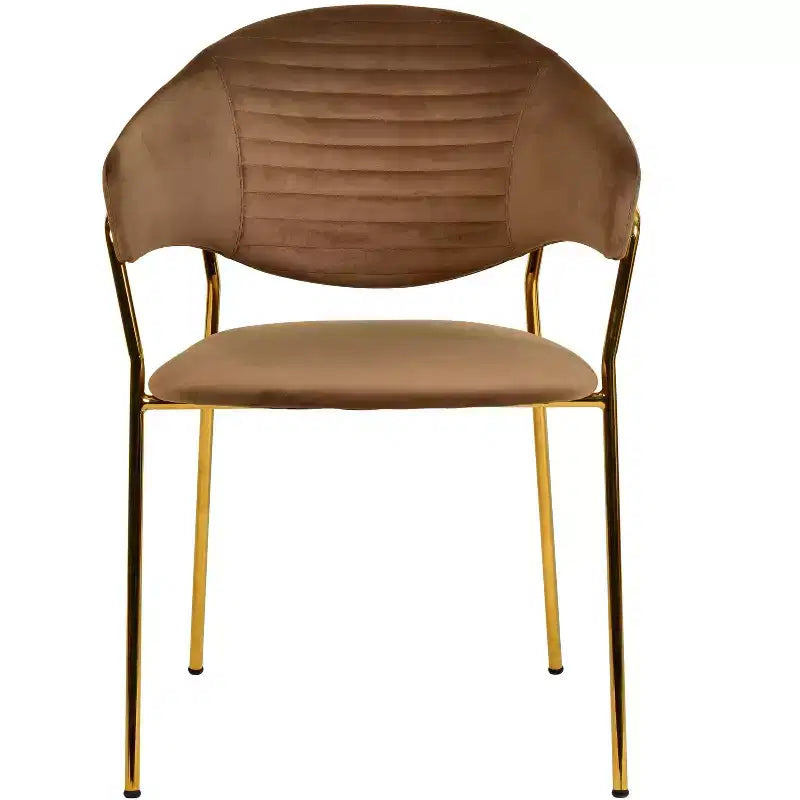 Sedia da pranzo imbottita LeisureMod in pelle/velluto con gambe in acciaio inossidabile, set da 2 per sala da pranzo, cucina e spazi moderni, serie Bella