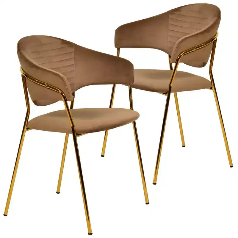 LeisureMod Upholstered Dining Chair in Leather/Velvet with Stainless Steel Legs  Set of 2 for Dining Room, Kitchen, and Modern Spaces  Bella Series
